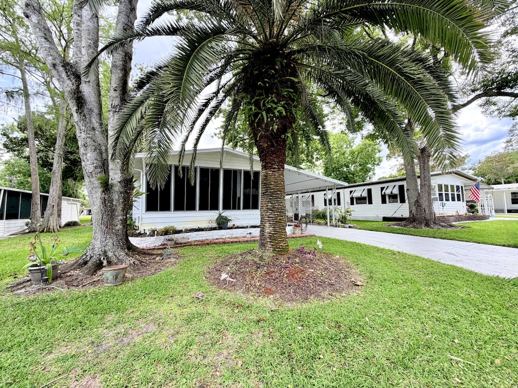 CIW Colony In The Wood