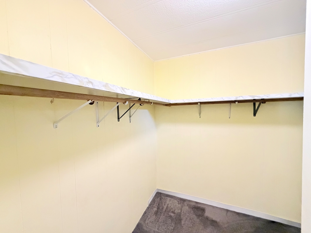 CIW Colony In The Wood