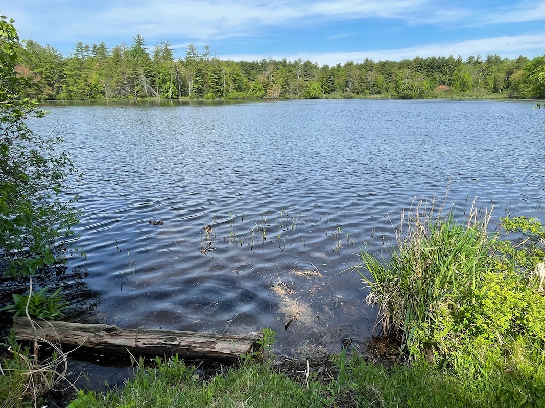 RPN River Pines