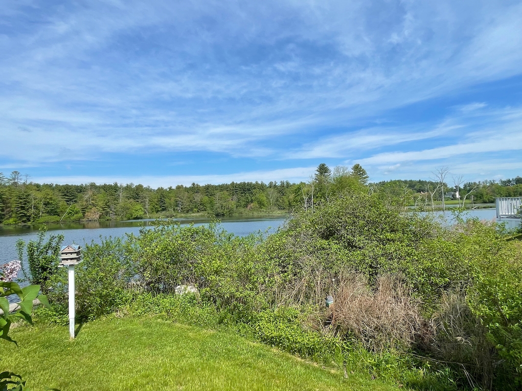 RPN River Pines