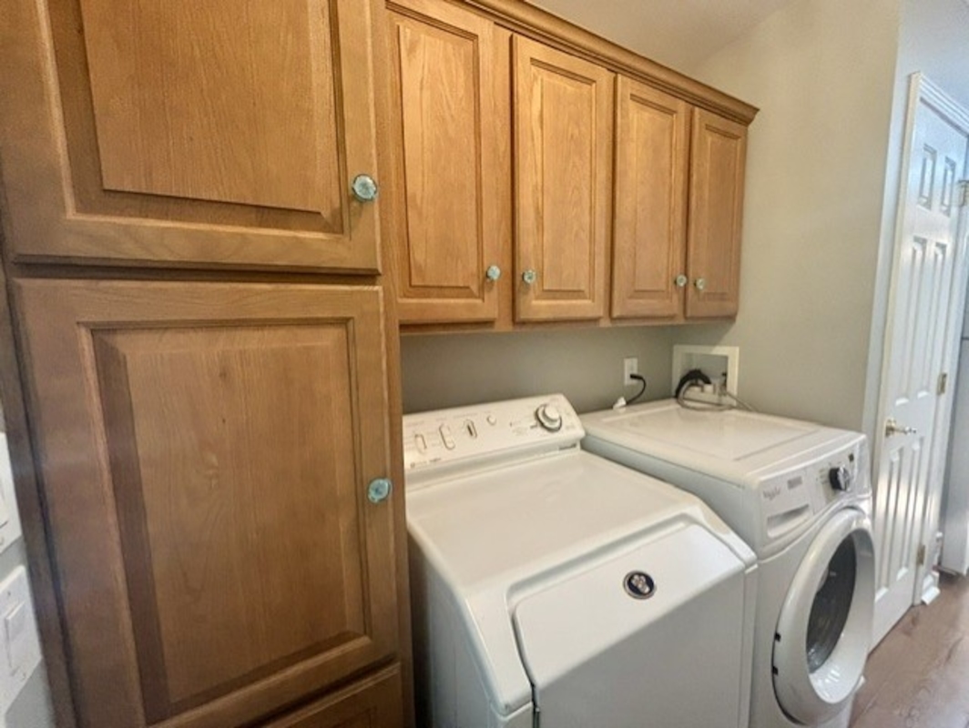 BWD Beechwood