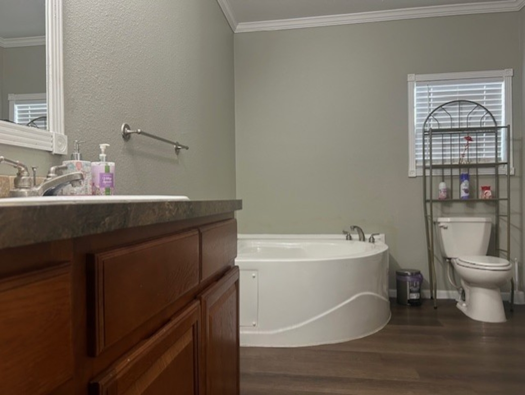 PNT Pine Trace