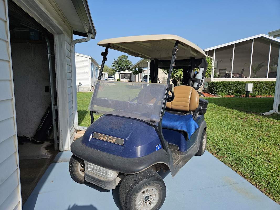 CYP Cypress Greens