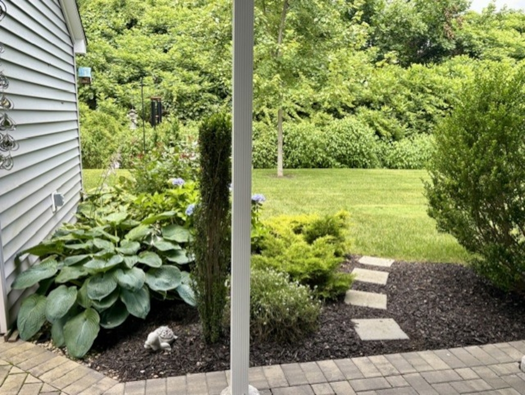 BWD Beechwood