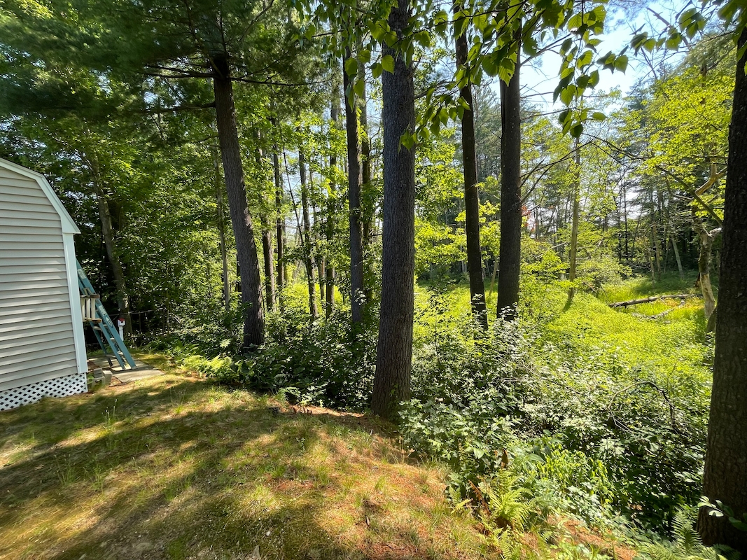 RPN River Pines