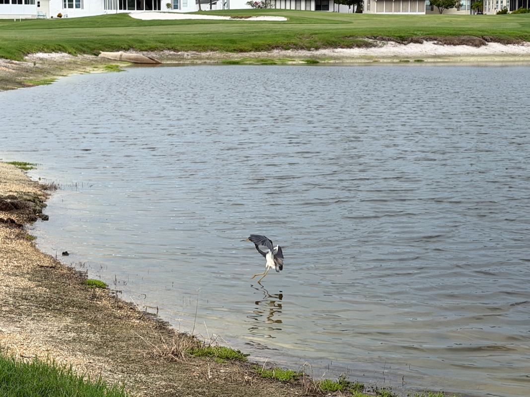 RSC Riverside Club Golf & Marina Community