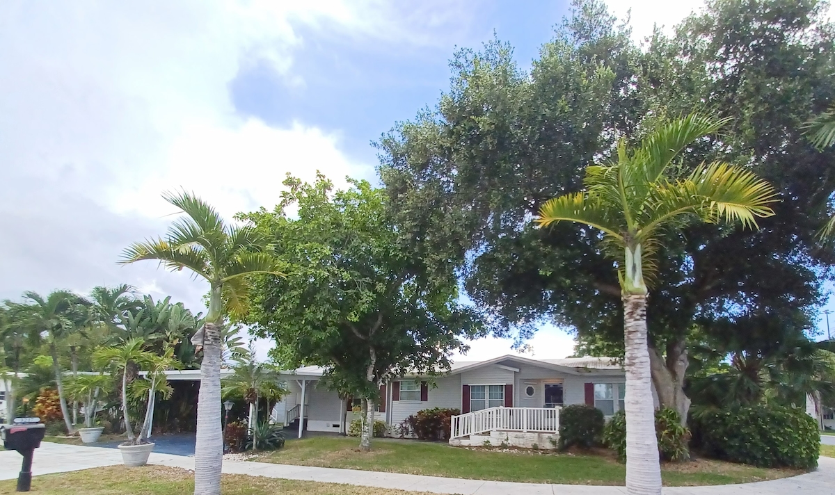 TAI Tallowwood Isle