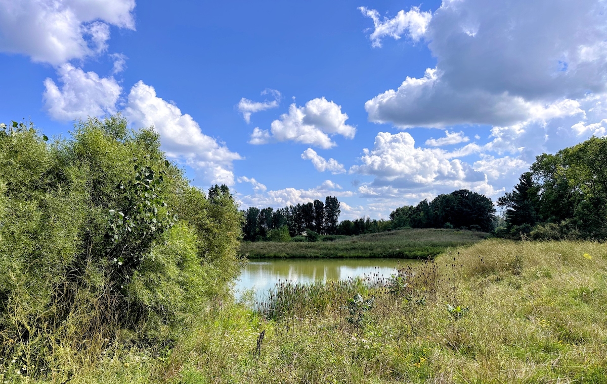 HUN Hunters Glen