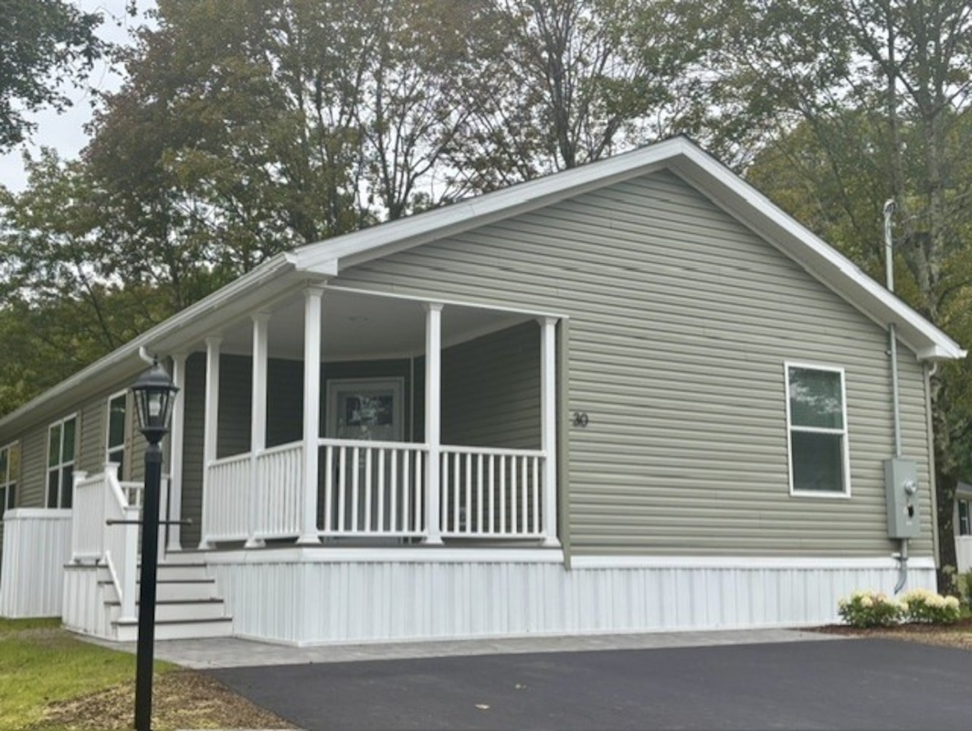 BWD Beechwood