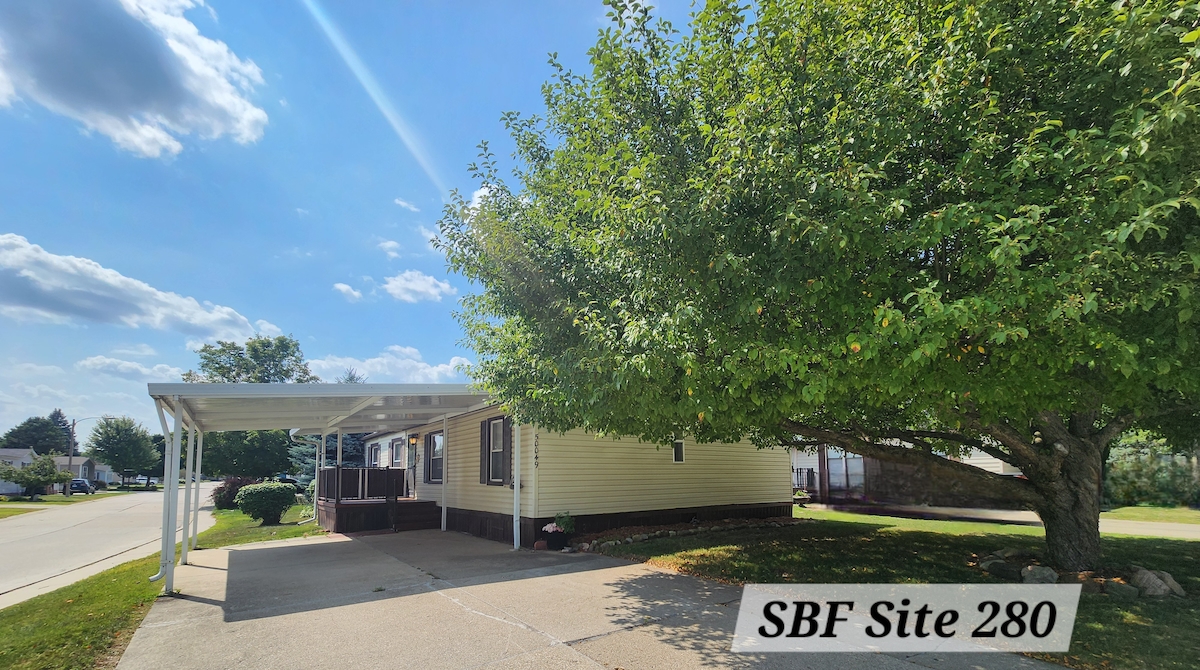 SBF Shelby Forest