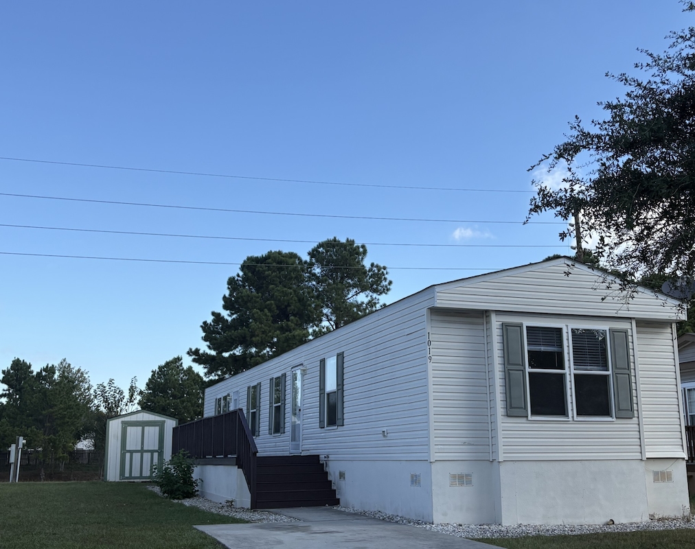 PNT Pine Trace