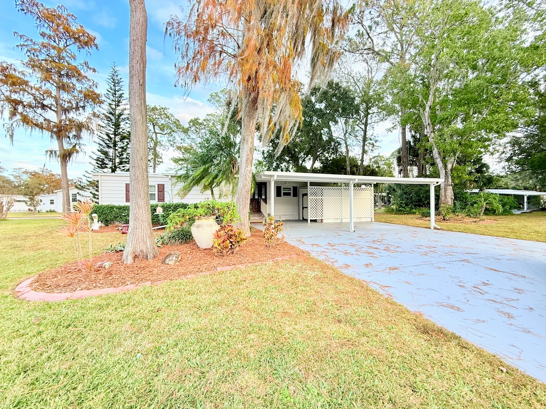 CIW Colony In The Wood