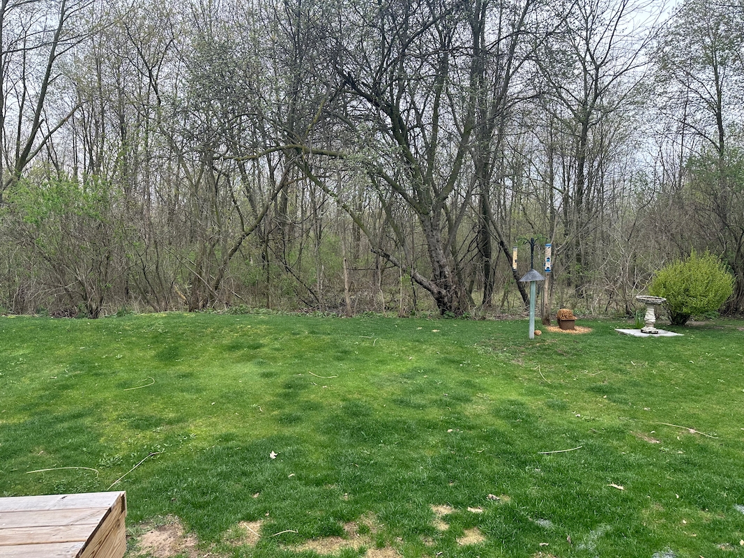 CHV Country Hills Village