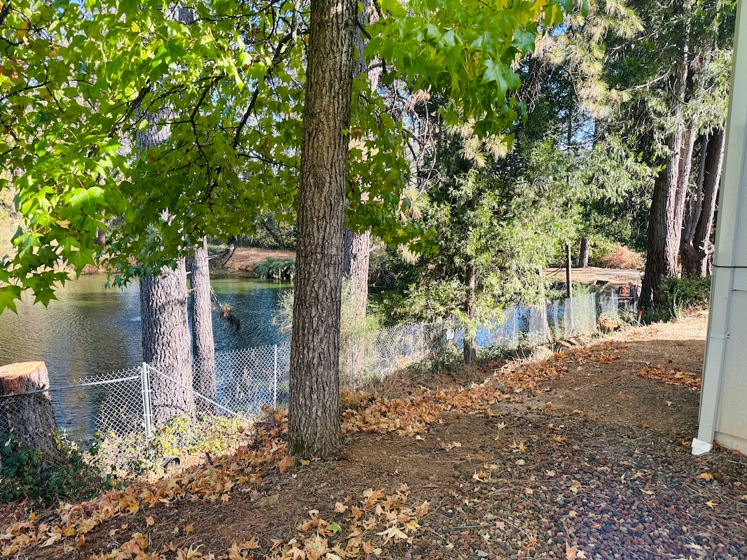 FSP Forest Springs