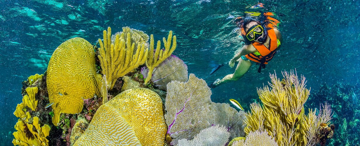Local Experiences | The Reef 28, Playa del Carmen, Quintana Roo