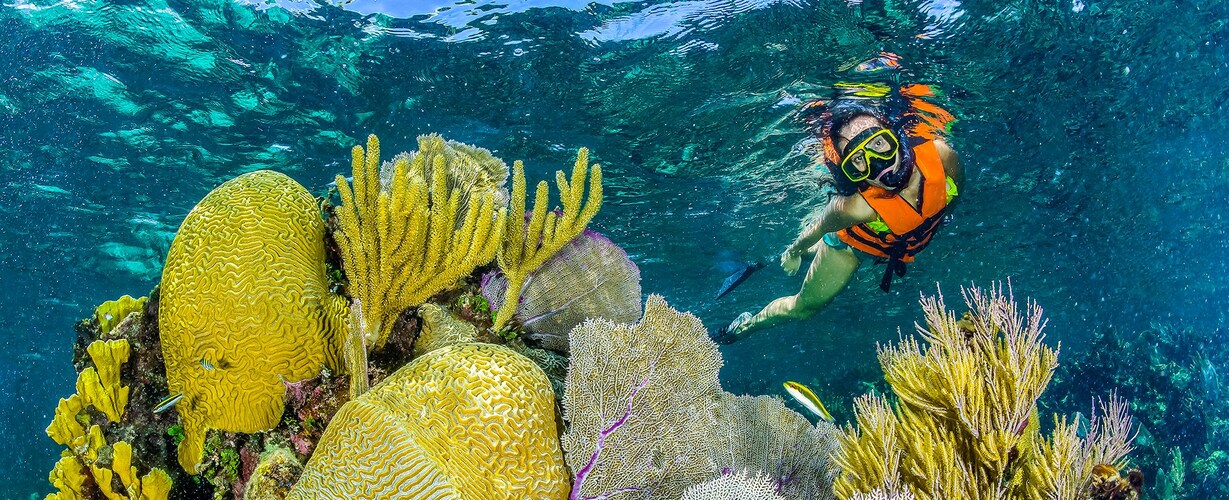 Local Experiences | The Reef Resorts & Spa, Playa del Carmen, Quintana Roo