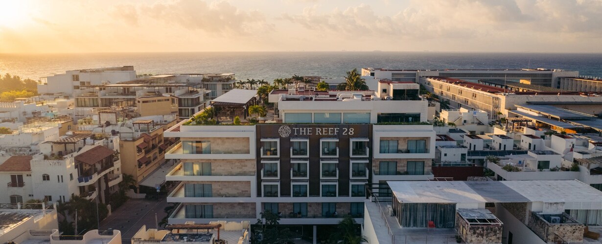 The Reef 28 | Offers