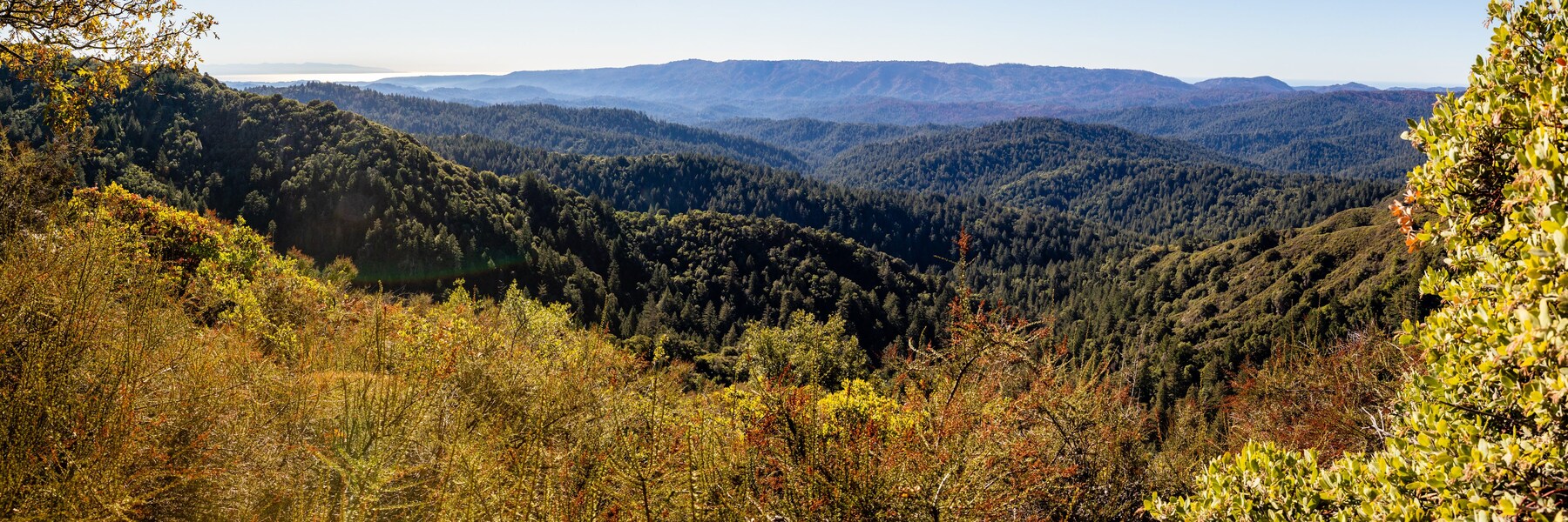 Things to Do in Saratoga, California