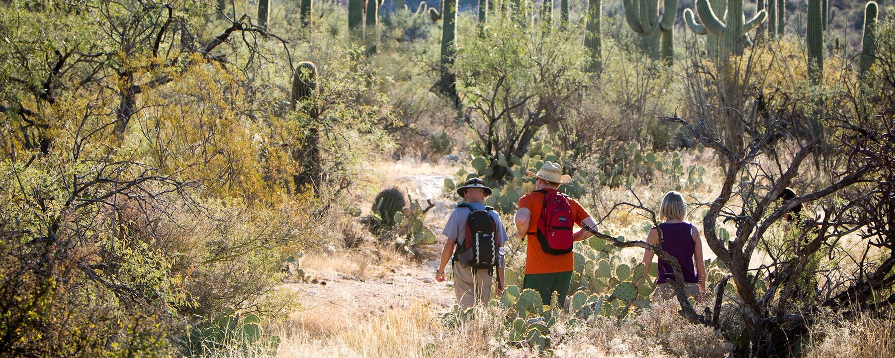 Hiking at Tanque Verde Ranch, Tucson, Arizona