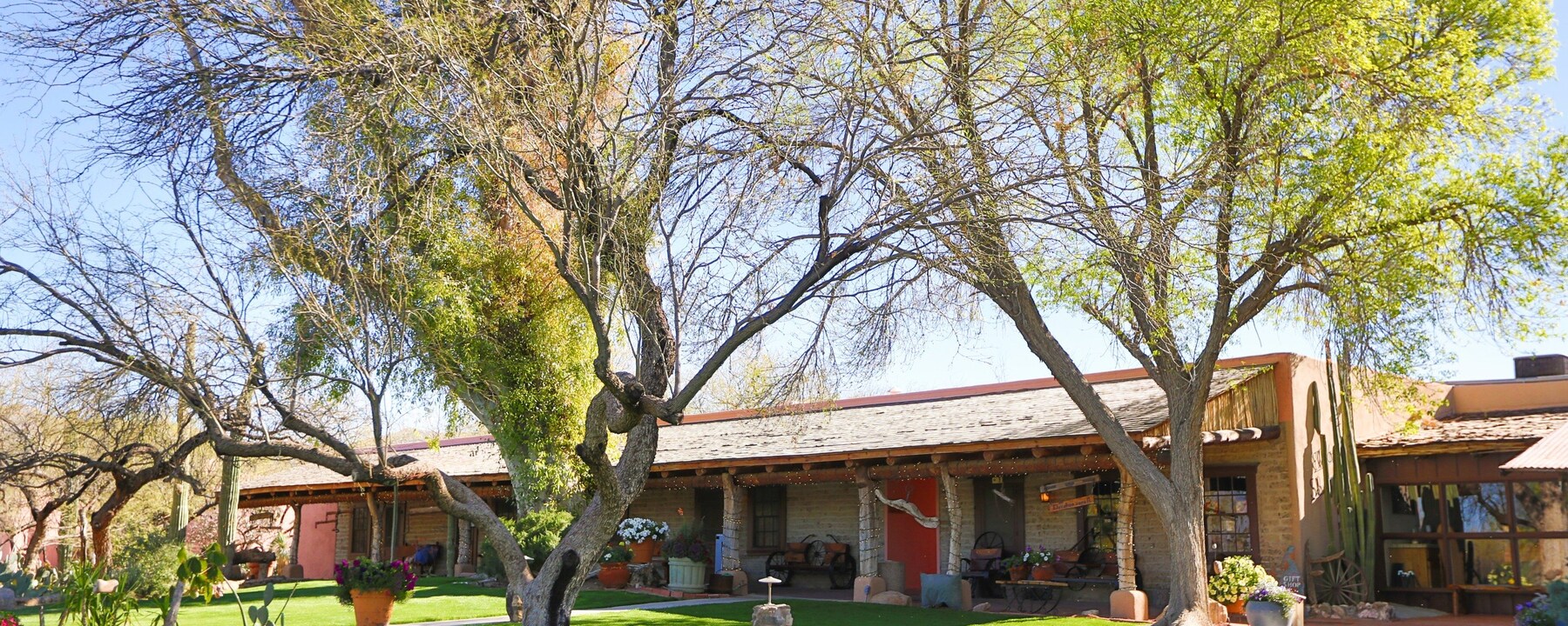 Rise and Dine at Tanque Verde Ranch, Tucson, Arizona