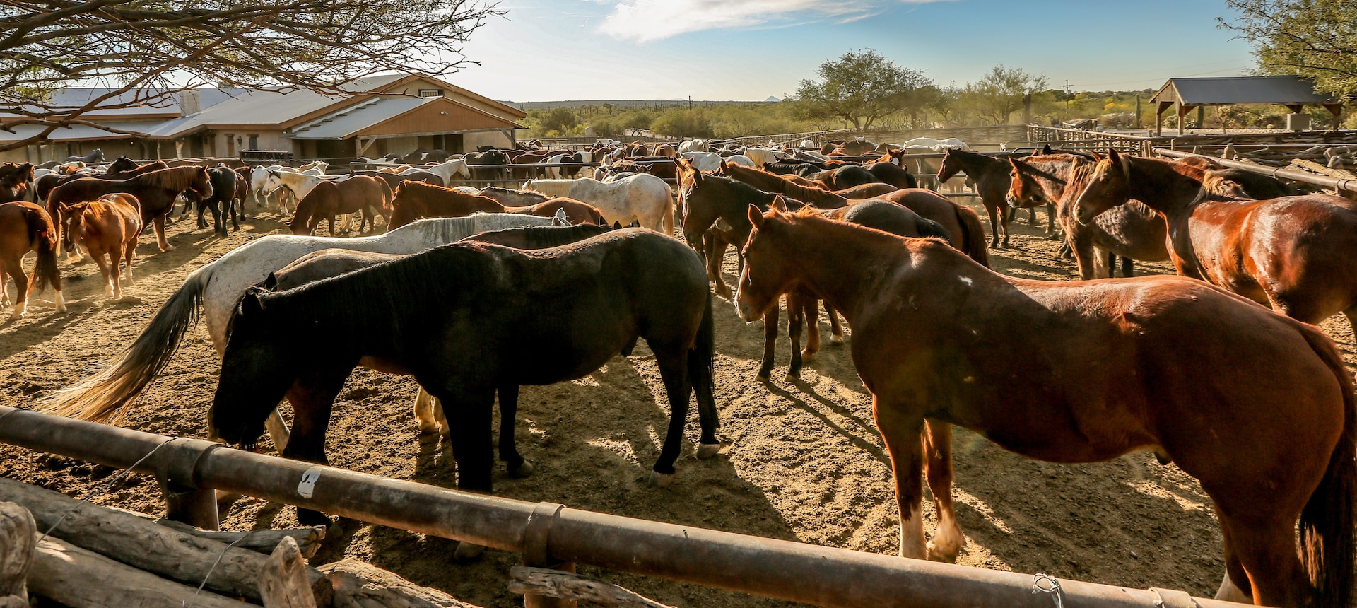 Contact to Tanque Verde Ranch Cote Hospitality Group - Nisswa Minnesota