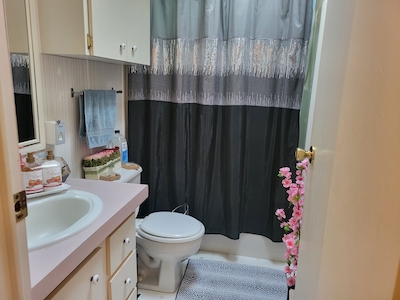 PTL The Landings at Lake Henry