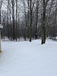 MVF Marysville Farms