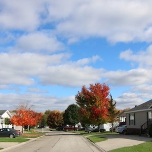 MVF Marysville Farms