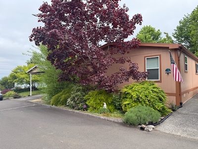 CVO Country Village Estates