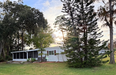 CIW Colony In The Wood