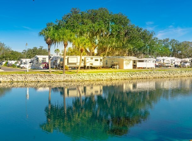 RV Resort in Arcadia, FL - Big Tree