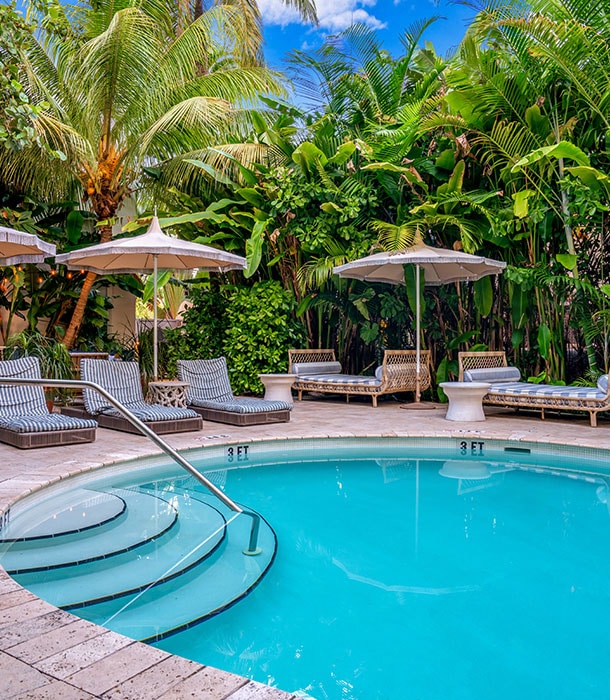 A swimming pool with steps and lounge chairs surrounded by tropical plants.