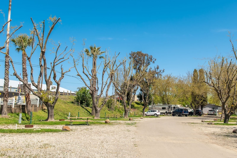 Premium Back-In RV Site-3