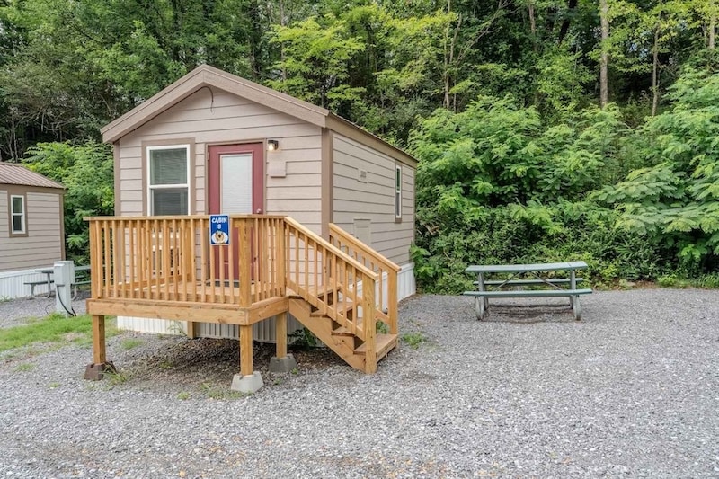 Bear Essentials Cabin-1