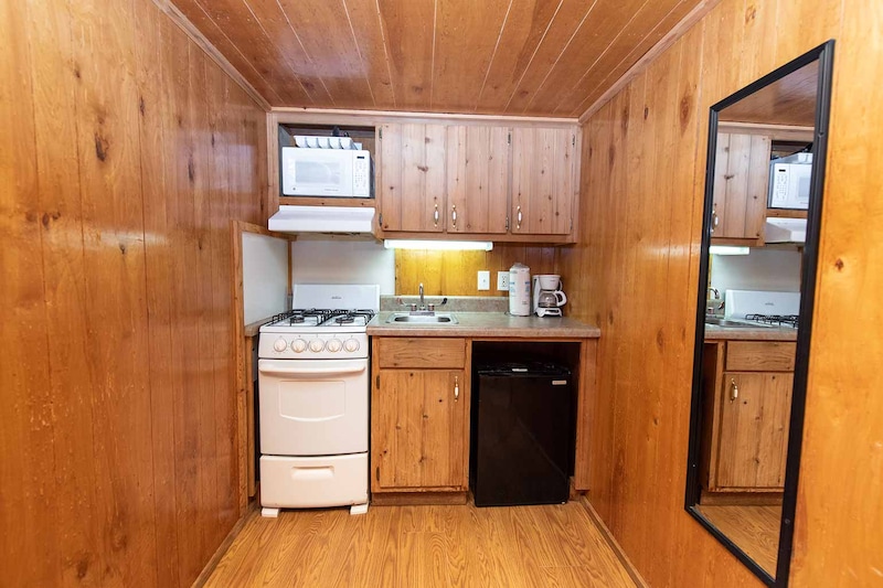 Cindy Bear™ Handicap Accessible Cabin-3