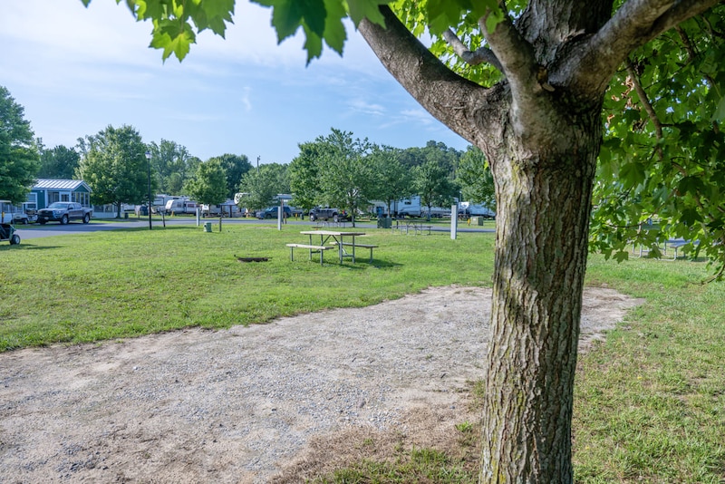 Preferred Back-In FHU RV Site-2