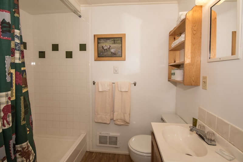 Rustic Studio Cabin-4