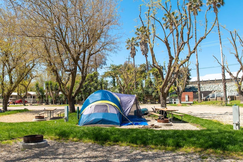 Premium Back-In RV/Tent Site-3