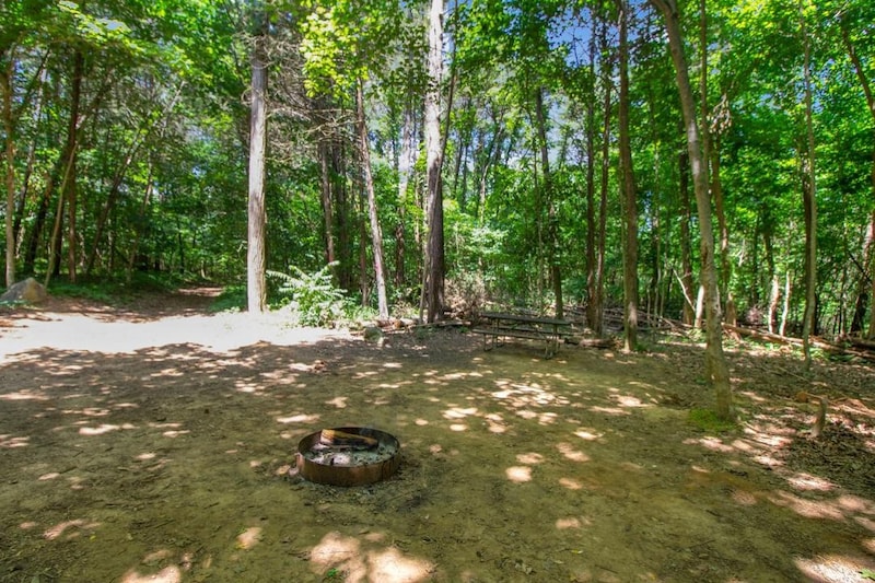 Primitive Group Camping Area-6