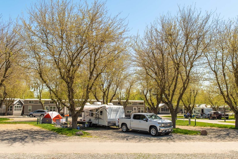Premium Back-In RV/Tent Site-1