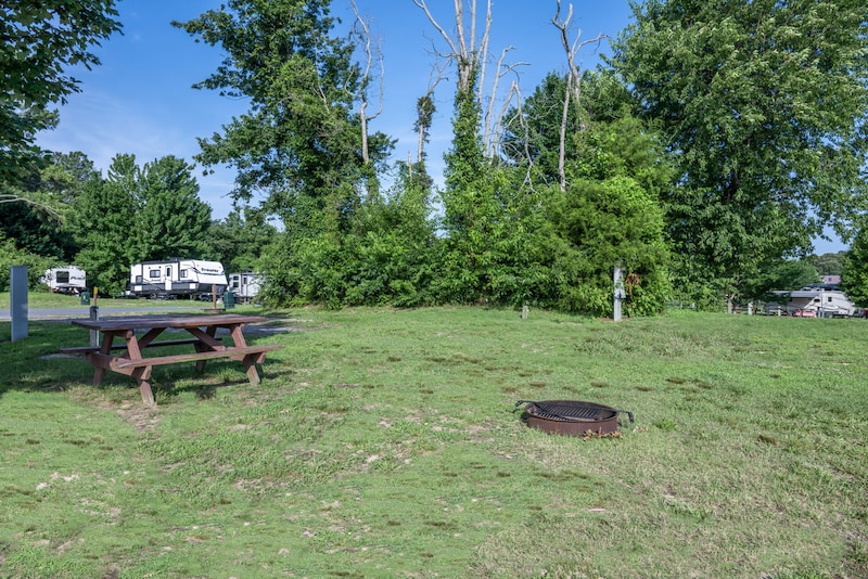 Premium Tent Site-2