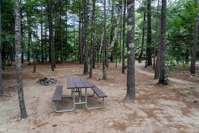 Rustic Wilderness Tent Site-4