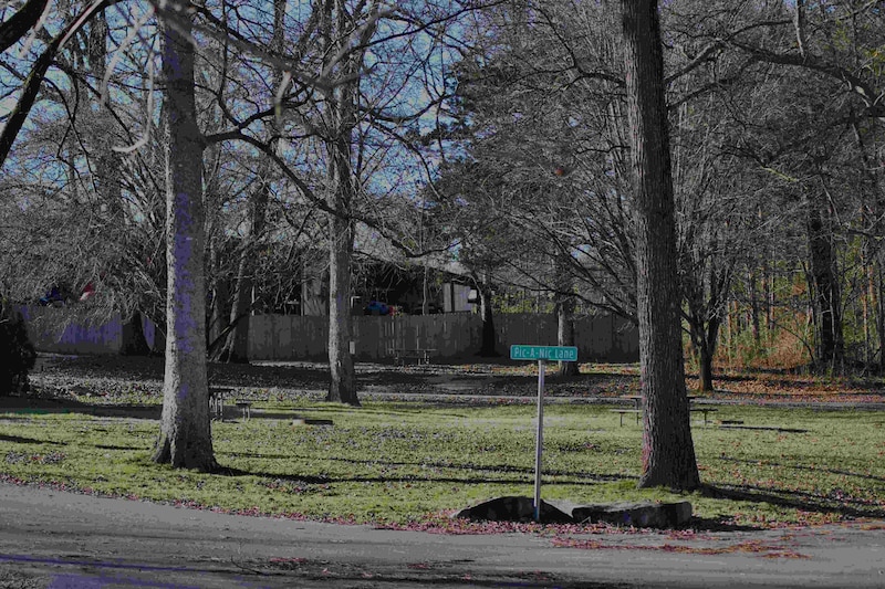 Primitive Group Camping Area-7