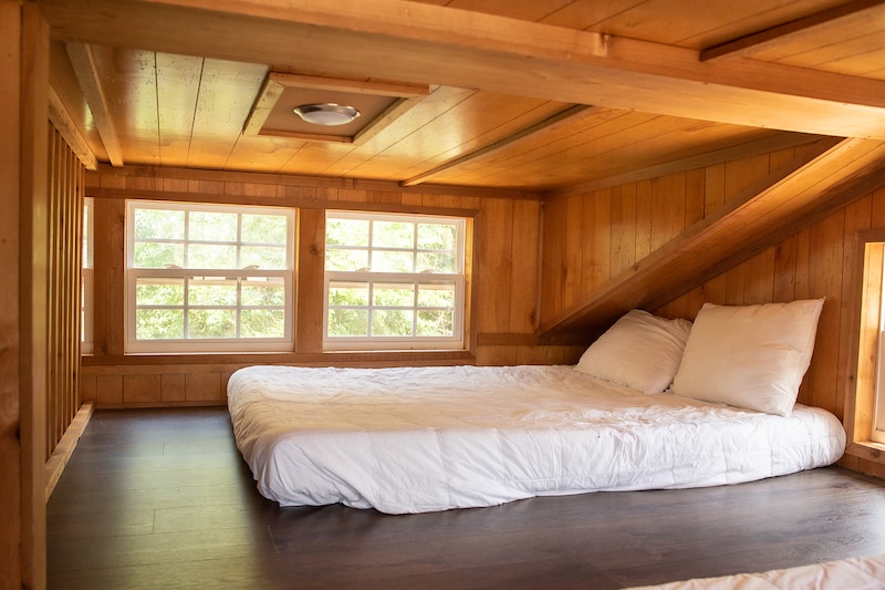 Yogi Bear™ Cabin-4