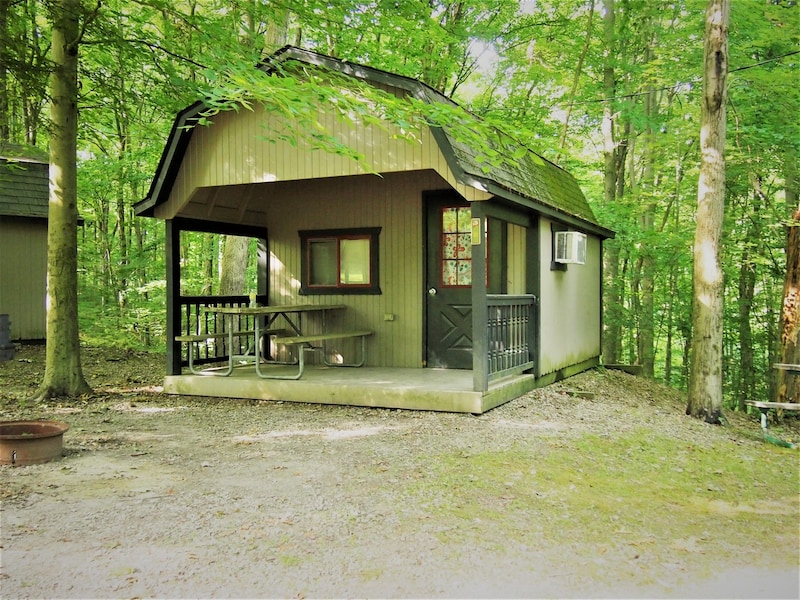 Rustic Cabin - 6 Person-5