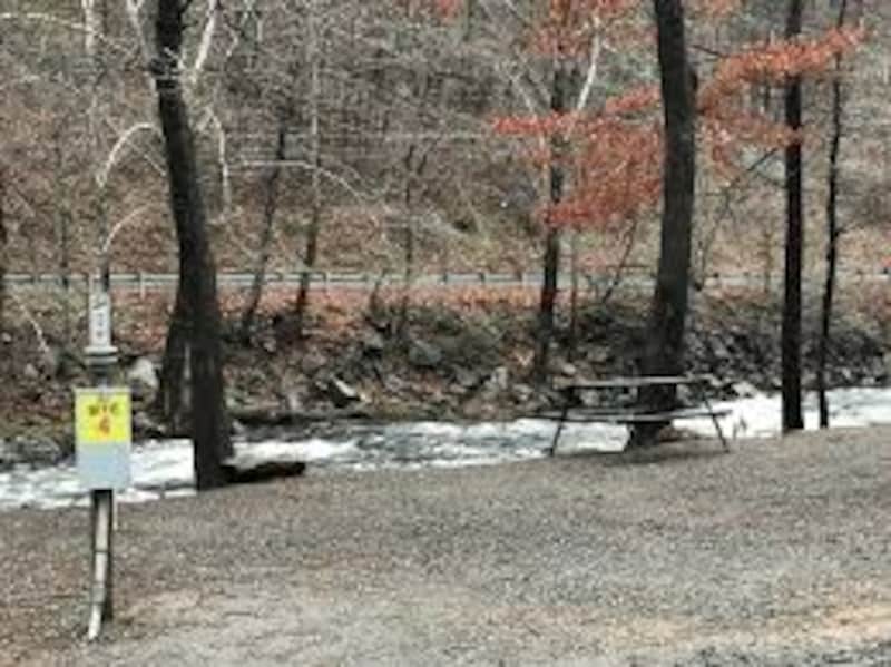 Yogi Bear™ W/E (30 amp) Riverside Tent Site-1