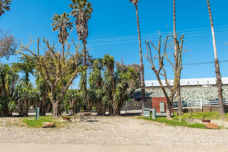 Premium Back-In RV Site-2