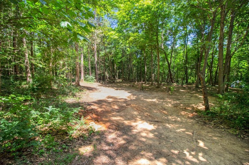 Primitive Group Camping Area-4