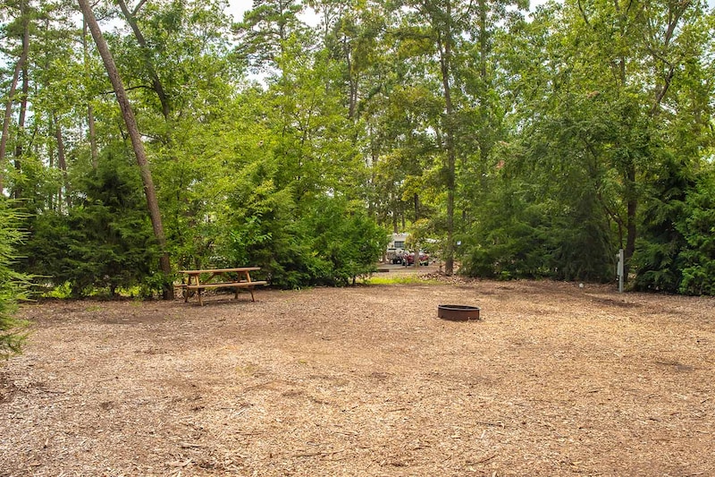 Premium Back-In RV Site-3