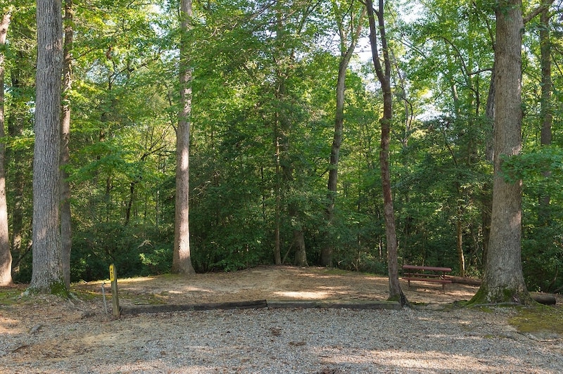 Rustic Tent - Lower-1